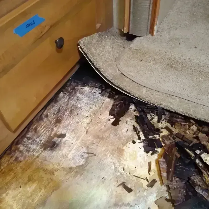 Wood Floor Water Damage in West Ocean City, MD